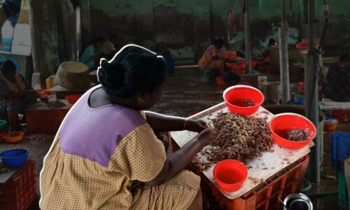 അമേരിക്ക പ്രതിസന്ധിയിലാക്കിയ ചെമ്മീൻ സംസ്കരണം