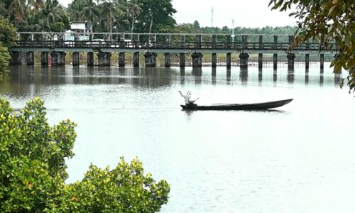 കണ്ടലിൻ്റെ പേരിൽ പുഴ നഷ്ടമാവുന്ന പെരിങ്ങാട്