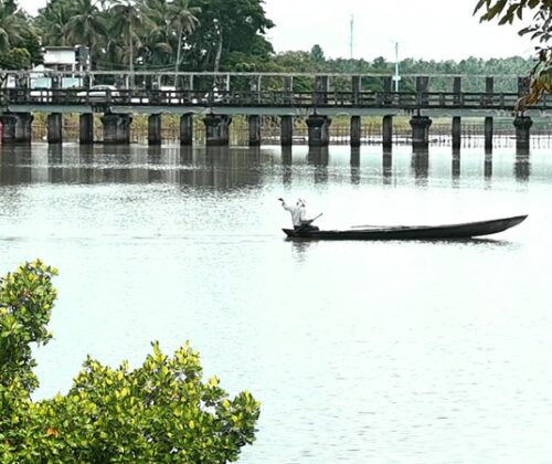 കണ്ടലിൻ്റെ പേരിൽ പുഴ നഷ്ടമാവുന്ന പെരിങ്ങാട്